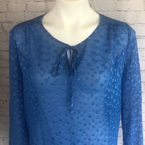 J Crew sheer polka dot blouse - Picture 2 of 5